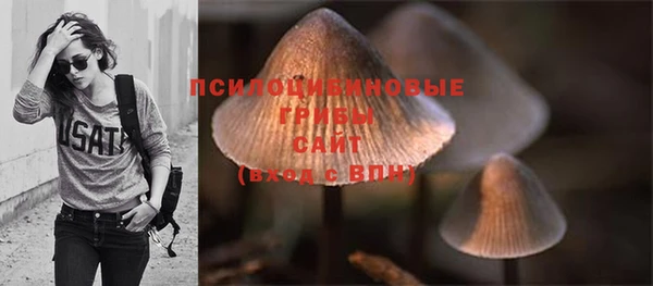марки nbome Алзамай