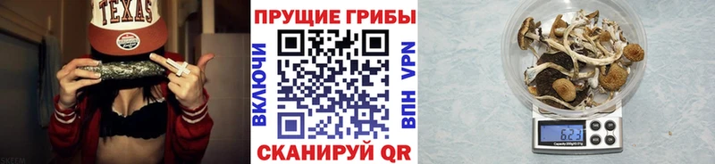 Галлюциногенные грибы GOLDEN TEACHER  купить   KRAKEN онион  Анива 
